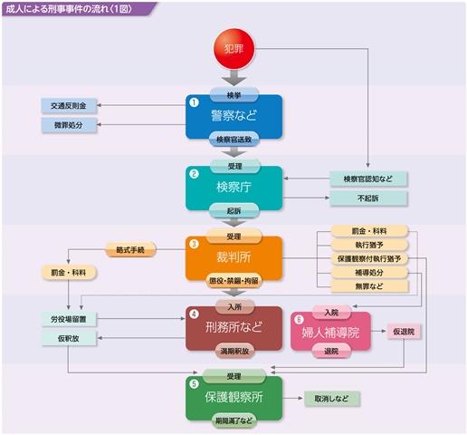 成人犯罪者の処遇の流れ図